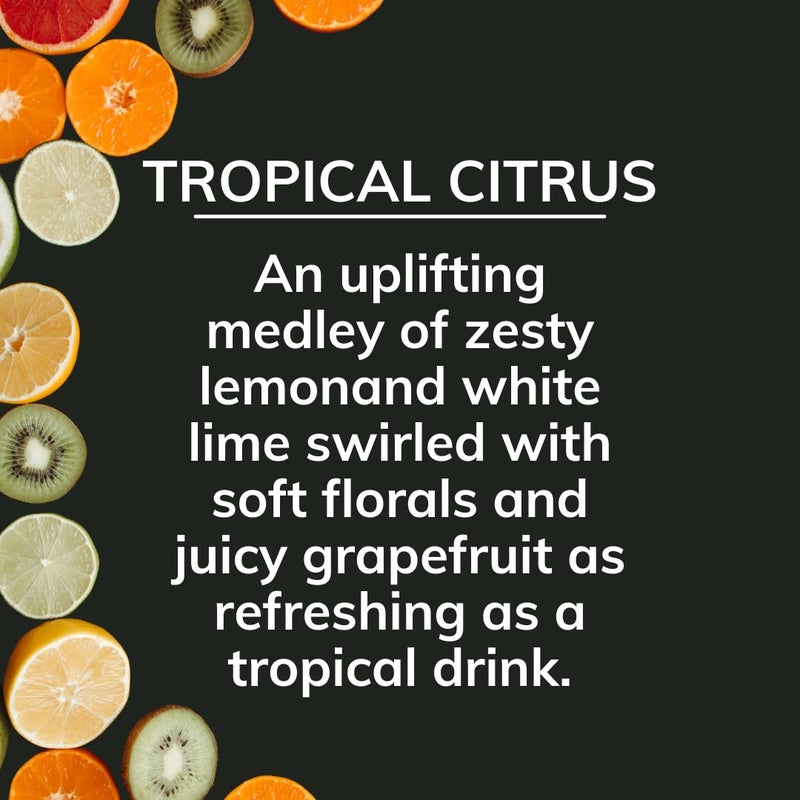 Citrus Magic On The Go Odor Absorbing Solid Air Freshener, Tropical Citrus, 8-Ounce - Image 3